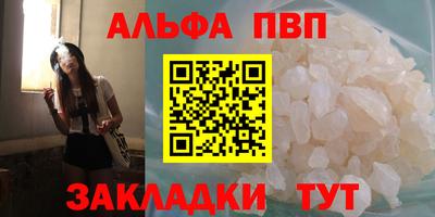 кокс Кингисепп