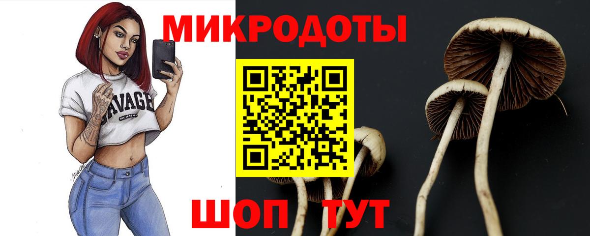 Псилоцибиновые грибы ЛСД Краснодар